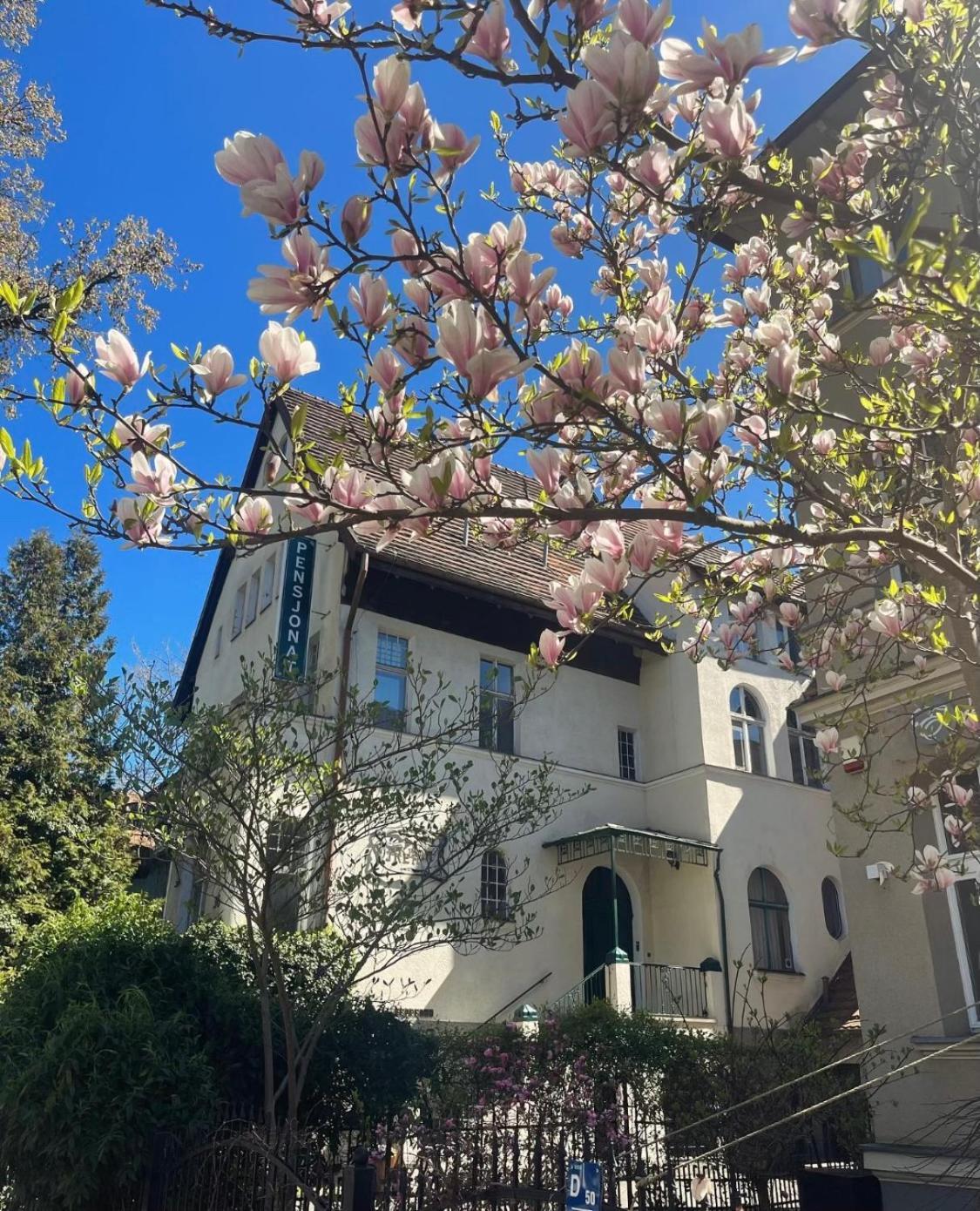 Villa Irena Sopot Kültér fotó